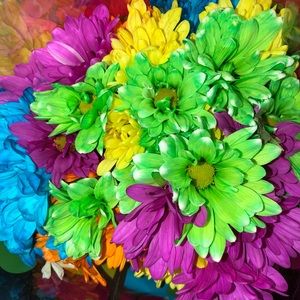 Meet your Posher, Sydnee